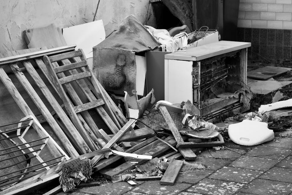 Ashburton Park bulky waste removal tips for locals